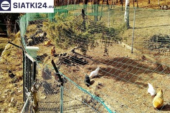 Siatki Nowogard - Siatka na woliery - zabezpieczenia ptaków w hodowli dla terenów Nowogardu